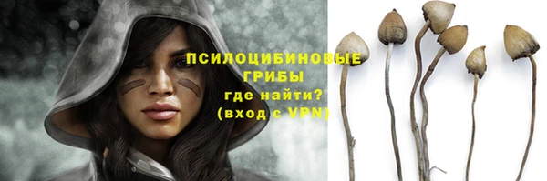 прущая мука Мегион
