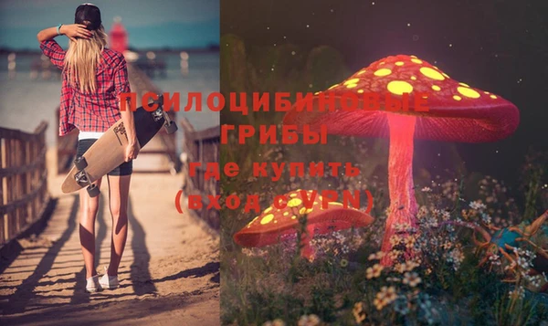 скорость Медвежьегорск