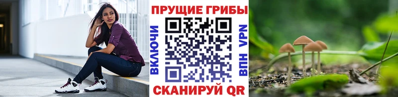 Галлюциногенные грибы Psilocybine cubensis  Мичуринск 