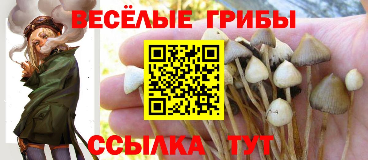 Псилоцибиновые грибы GOLDEN TEACHER  Мичуринск 