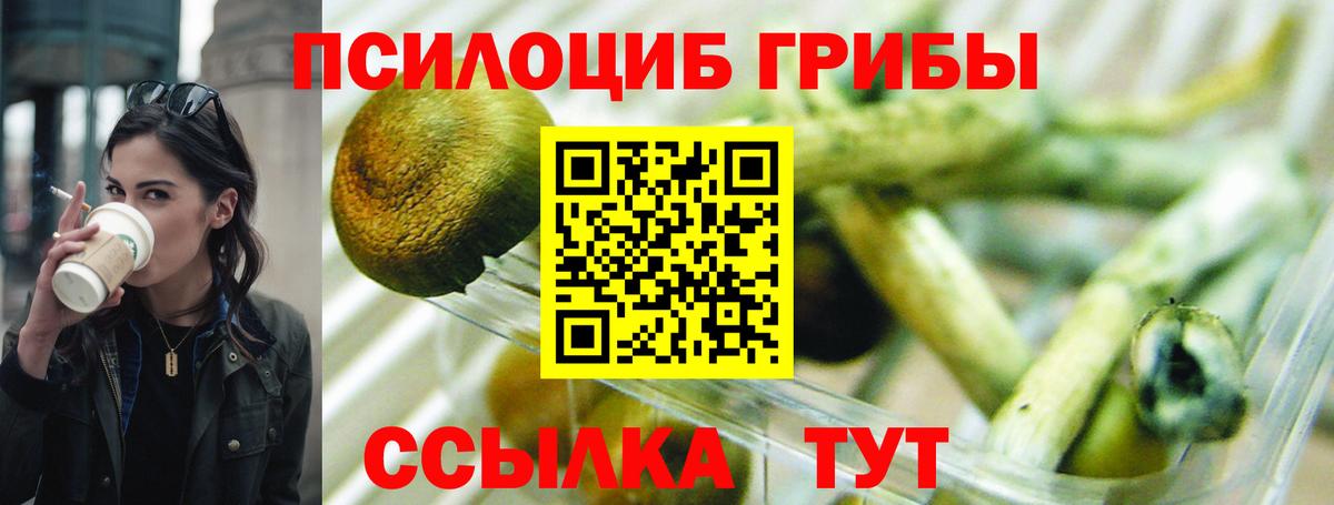 Мичуринск  Галлюциногенные грибы Psilocybine cubensis  Вход с VPN  Галлюциногенные грибы мухоморы 