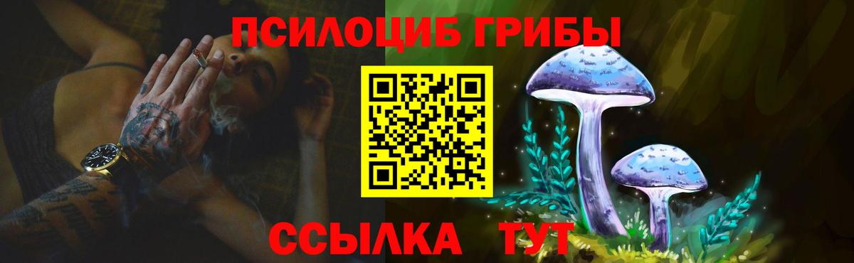 А ПВП Мичуринск
